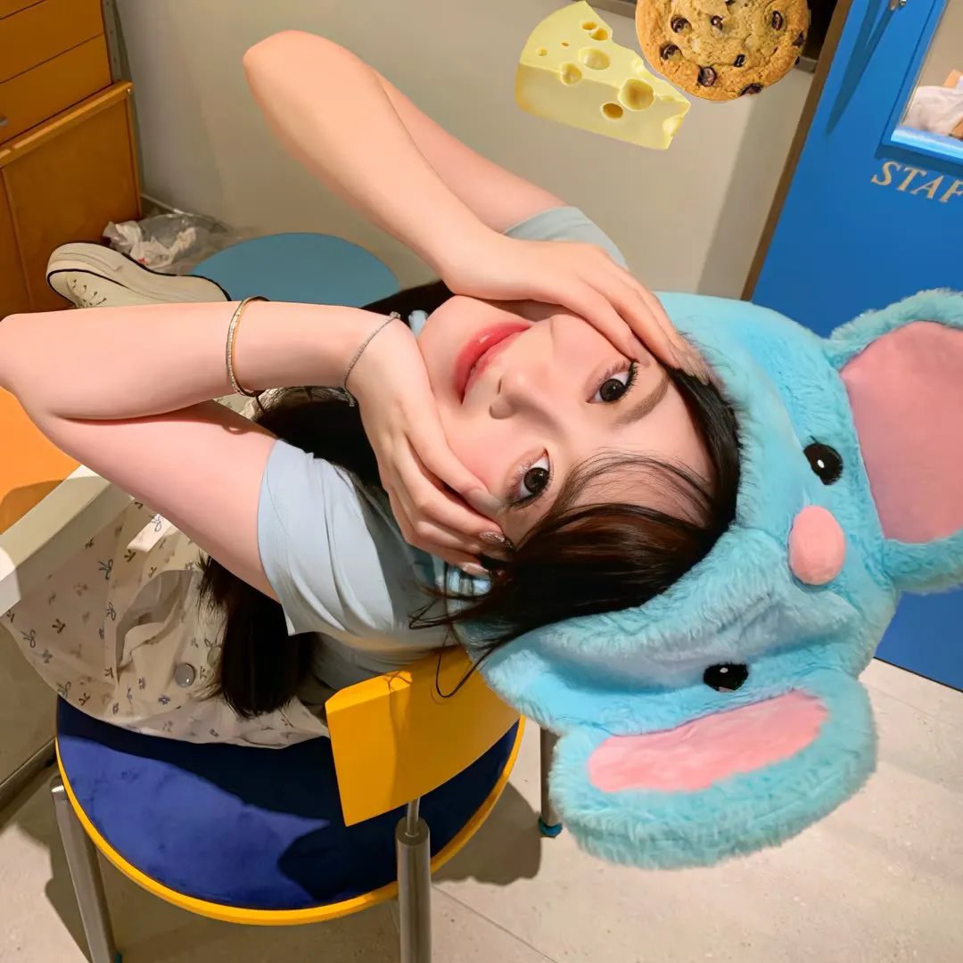 猫头鹰与小飞象